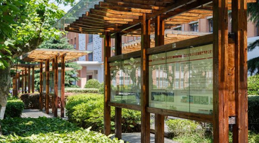 学校设施绿化
